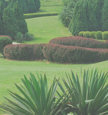 平台批发价格的DDOS网页端平台