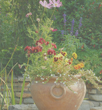 免费ddos攻击网页端