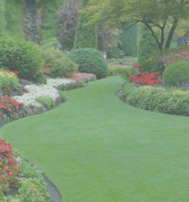 免费ddos攻击网页端